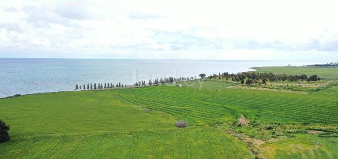Touristic field for sale in Larnaca