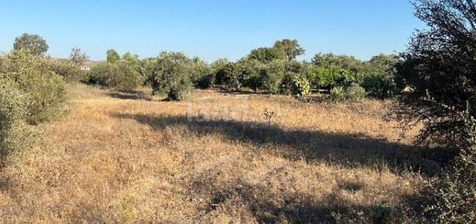 Residential field for sale in Nicosia