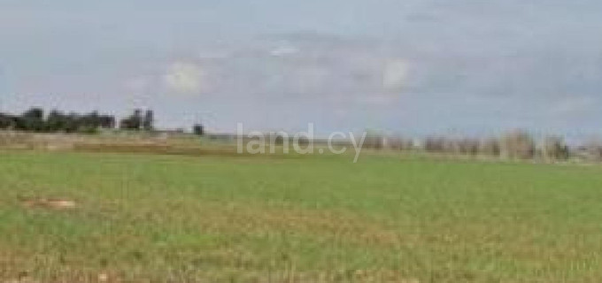 Agricultural field for sale in Frenaros