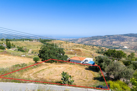 Residential field for sale in Paphos