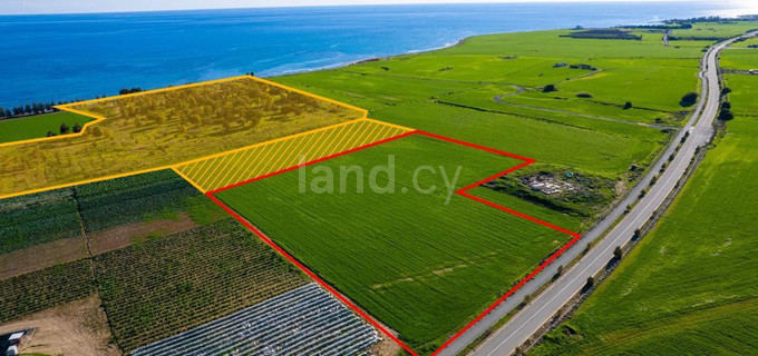 Touristic field for sale in Larnaca