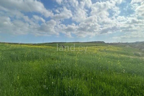 Agricultural field for sale in Nicosia