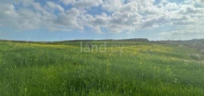 Agricultural field for sale in Nicosia