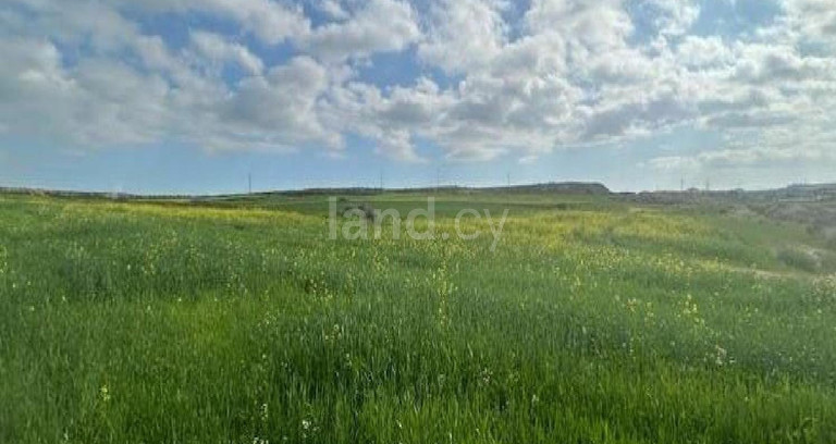 Agricultural field for sale in Nicosia