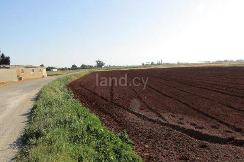 Agricultural field for sale in Avgorou