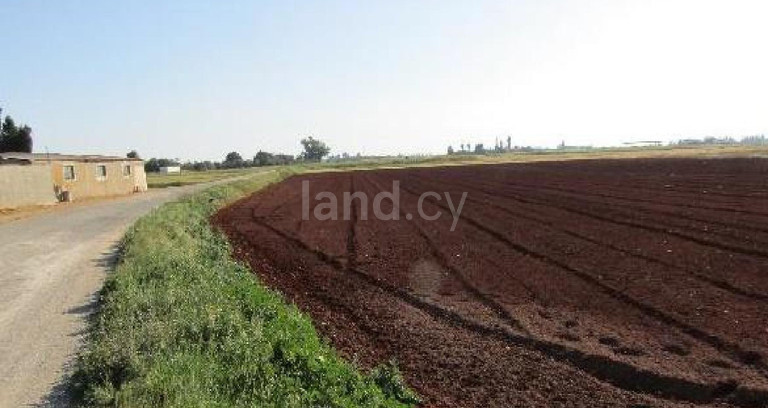 Agricultural field for sale in Avgorou