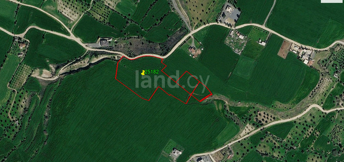 Agricultural field for sale in Nicosia