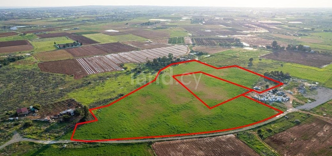 Agricultural field for sale in Frenaros