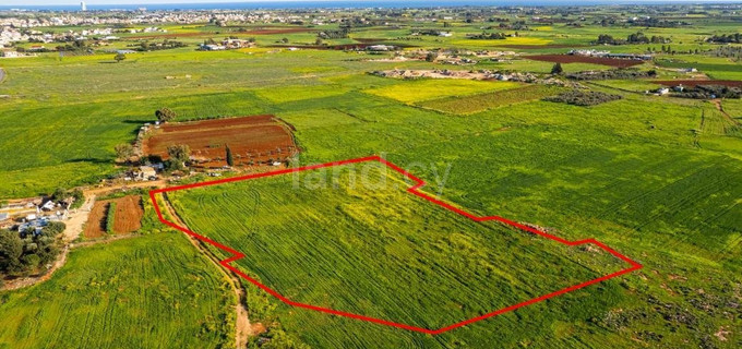 Agricultural field for sale in Avgorou