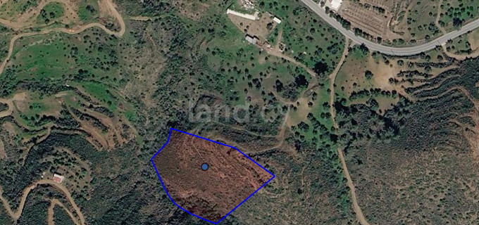Agricultural field for sale in Larnaca