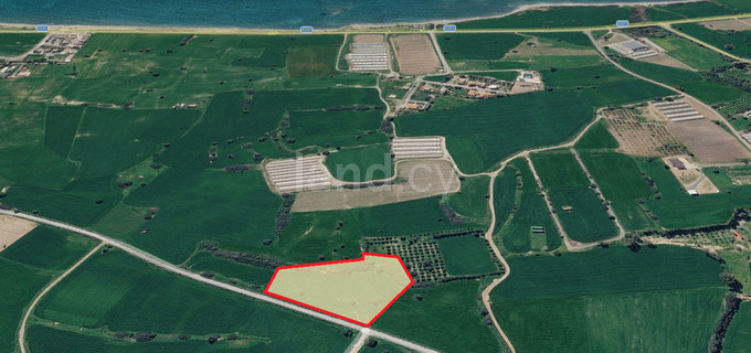 Agricultural field for sale in Larnaca