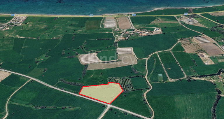 Agricultural field for sale in Larnaca