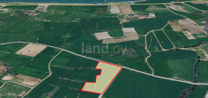 Agricultural field for sale in Larnaca