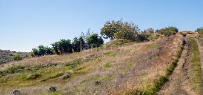 Agricultural field for sale in Limassol