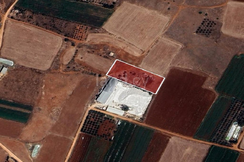 Plot for sale in Avgorou