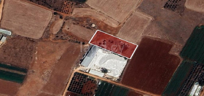 Plot for sale in Avgorou