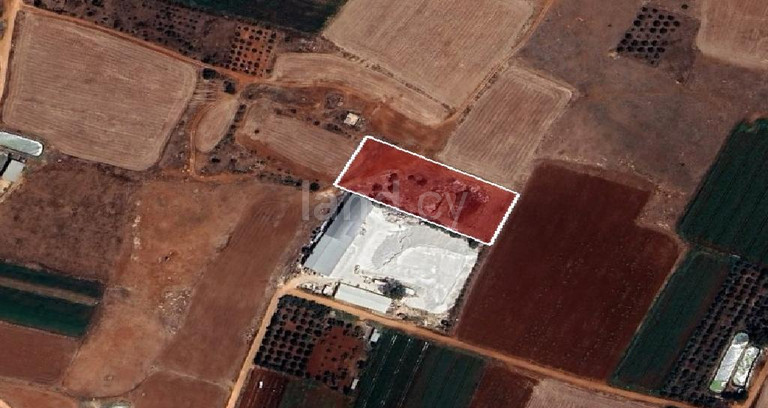 Plot for sale in Avgorou