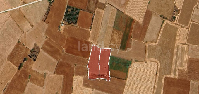 Plot for sale in Avgorou