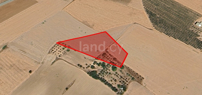 Parcela a la venta en Larnaca