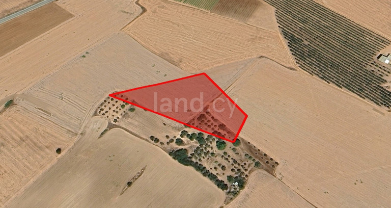Plot for sale in Larnaca