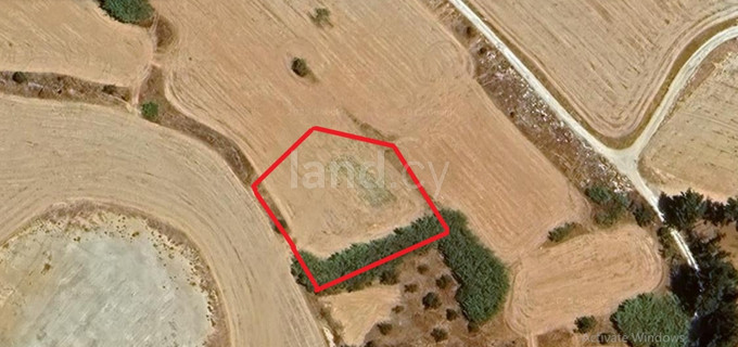 Plot for sale in Frenaros