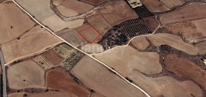 Plot for sale in Frenaros