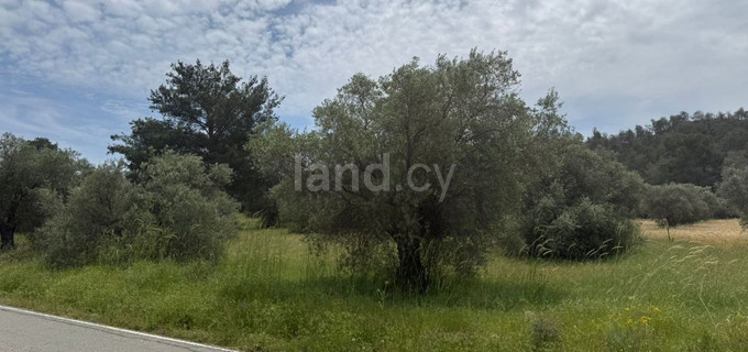 Działka na sprzedaż w Larnaca