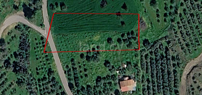 Działka na sprzedaż w Larnaca