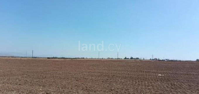 Landwirtschaftliches Baugebiet in Nicosia zu verkaufen
