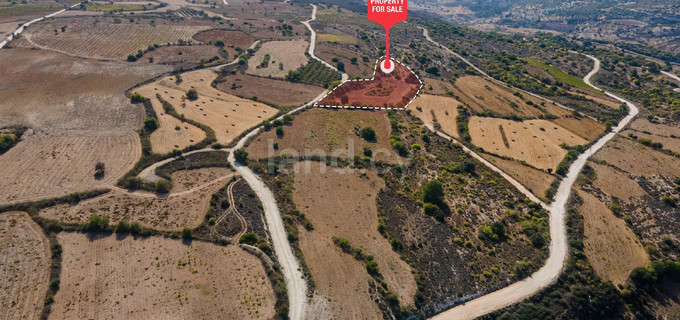 Pole rolne na sprzedaż w Paphos