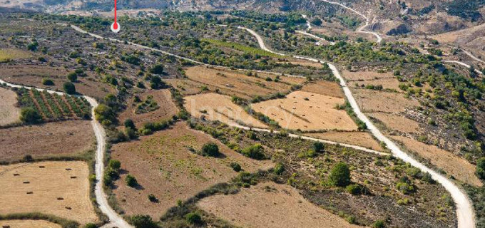 Campo agrícola a la venta en Paphos