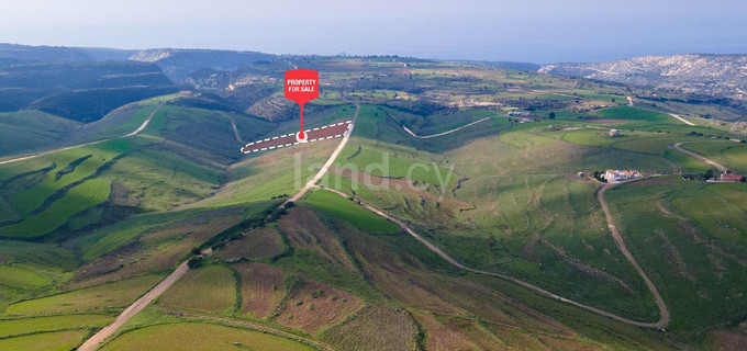 Pole rolne na sprzedaż w Paphos