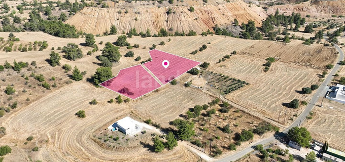 Field for sale in Nicosia