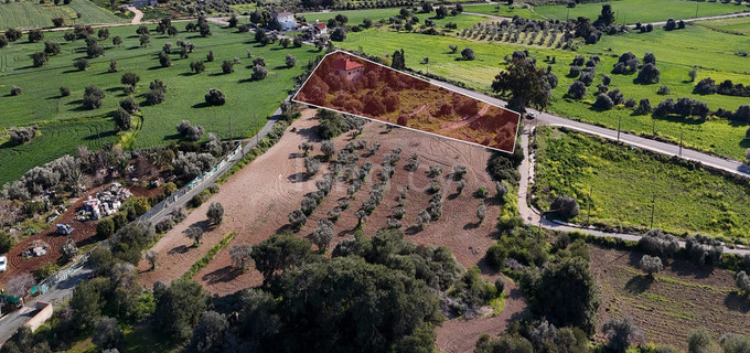 Parcelle à vendre à Larnaca
