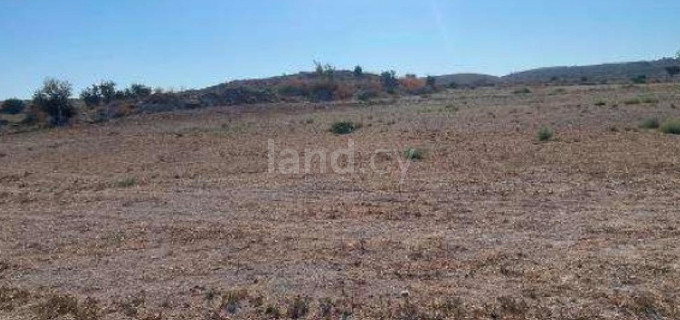 Campo agrícola a la venta en Larnaca