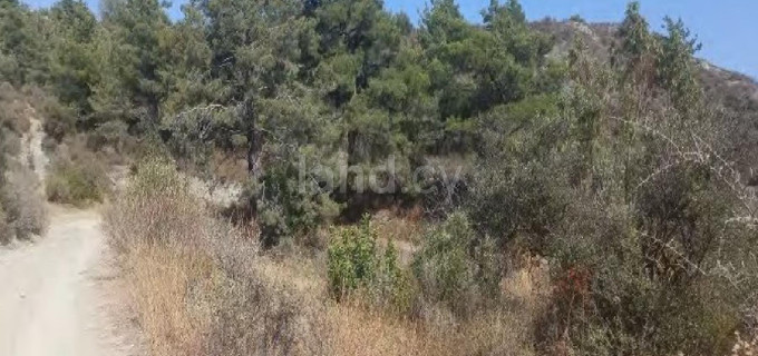 Agricultural field for sale in Limassol