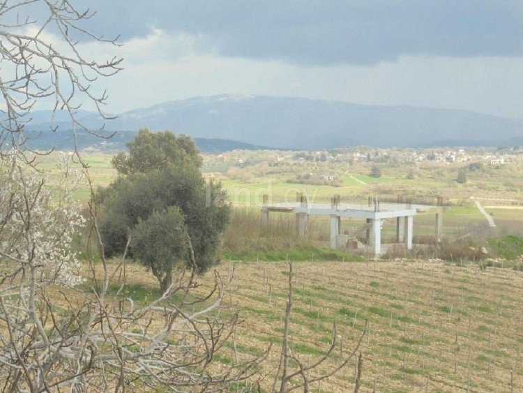 Οικιστικό αγροτεμάχιο προς πώληση - Πάφος