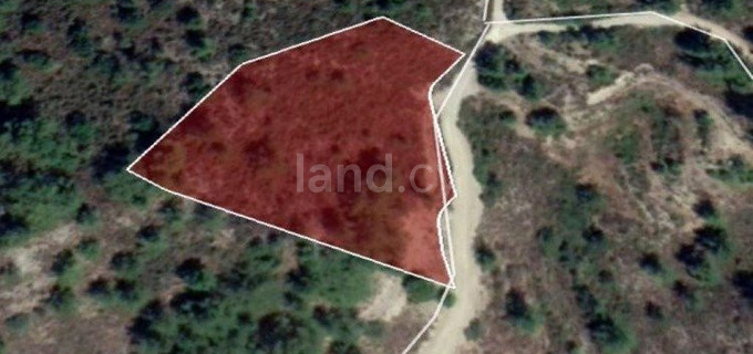 Residential field for sale in Limassol