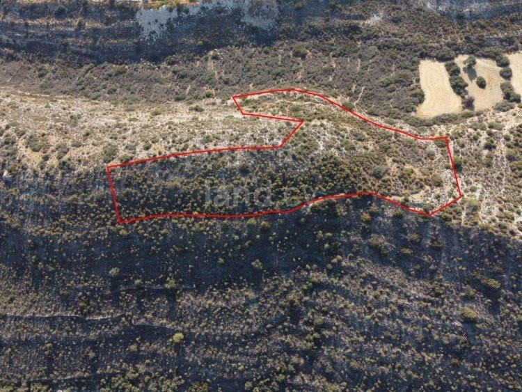 Landwirtschaftliches Baugebiet in Limassol zu verkaufen