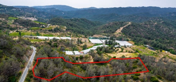 Agricultural field for sale in Limassol
