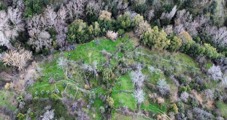 Agricultural field for sale in Limassol