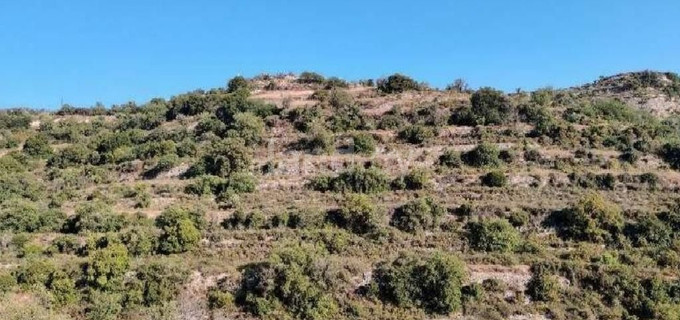 Landwirtschaftliches Baugebiet in Limassol zu verkaufen