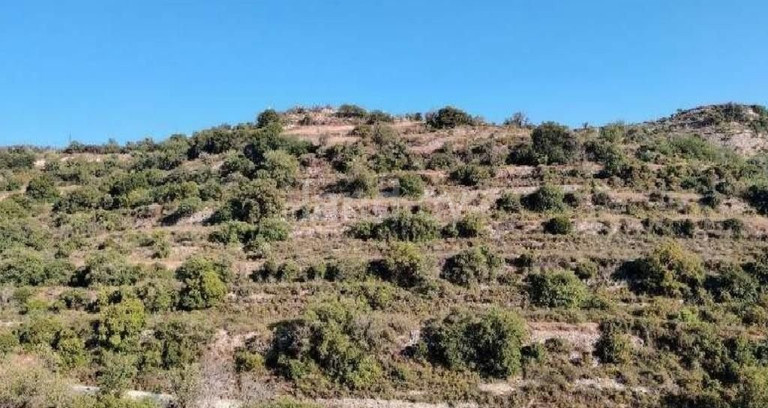 Agricultural field for sale in Limassol