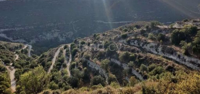 Landwirtschaftliches Baugebiet in Limassol zu verkaufen