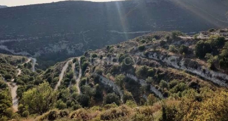 Pole rolne na sprzedaż w Limassol