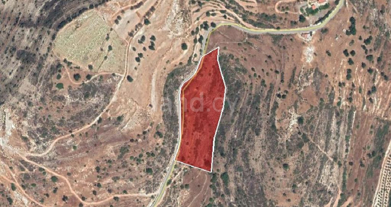 Agricultural field for sale in Limassol