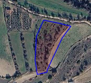 Agricultural field for sale in Paphos