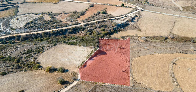 Pole turystyczne na sprzedaż w Paphos