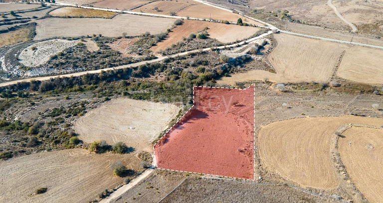 Touristic field for sale in Paphos