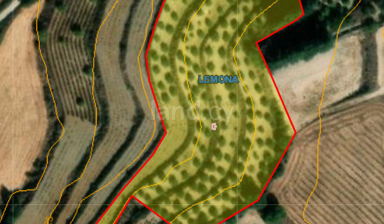 Landwirtschaftliches Baugebiet in Paphos zu verkaufen